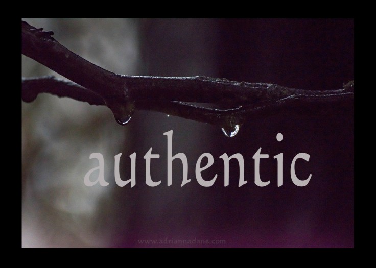 authentic_03