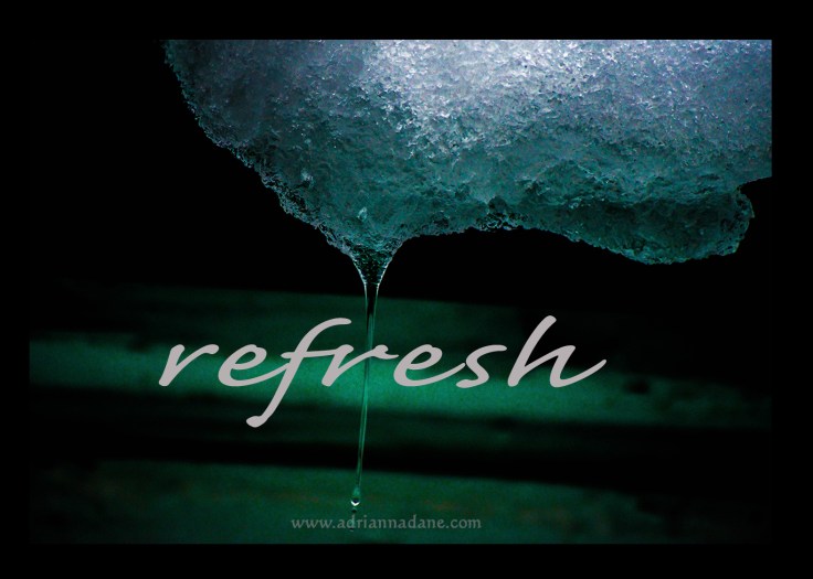 refresh_14