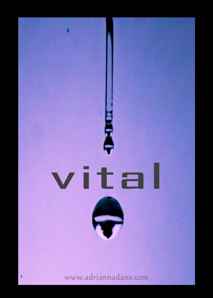 vital_25.jpg