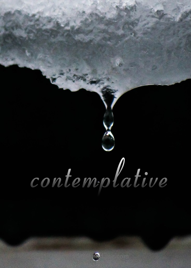 contemplative_42
