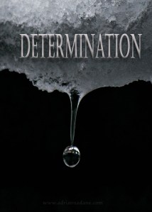 determination_50