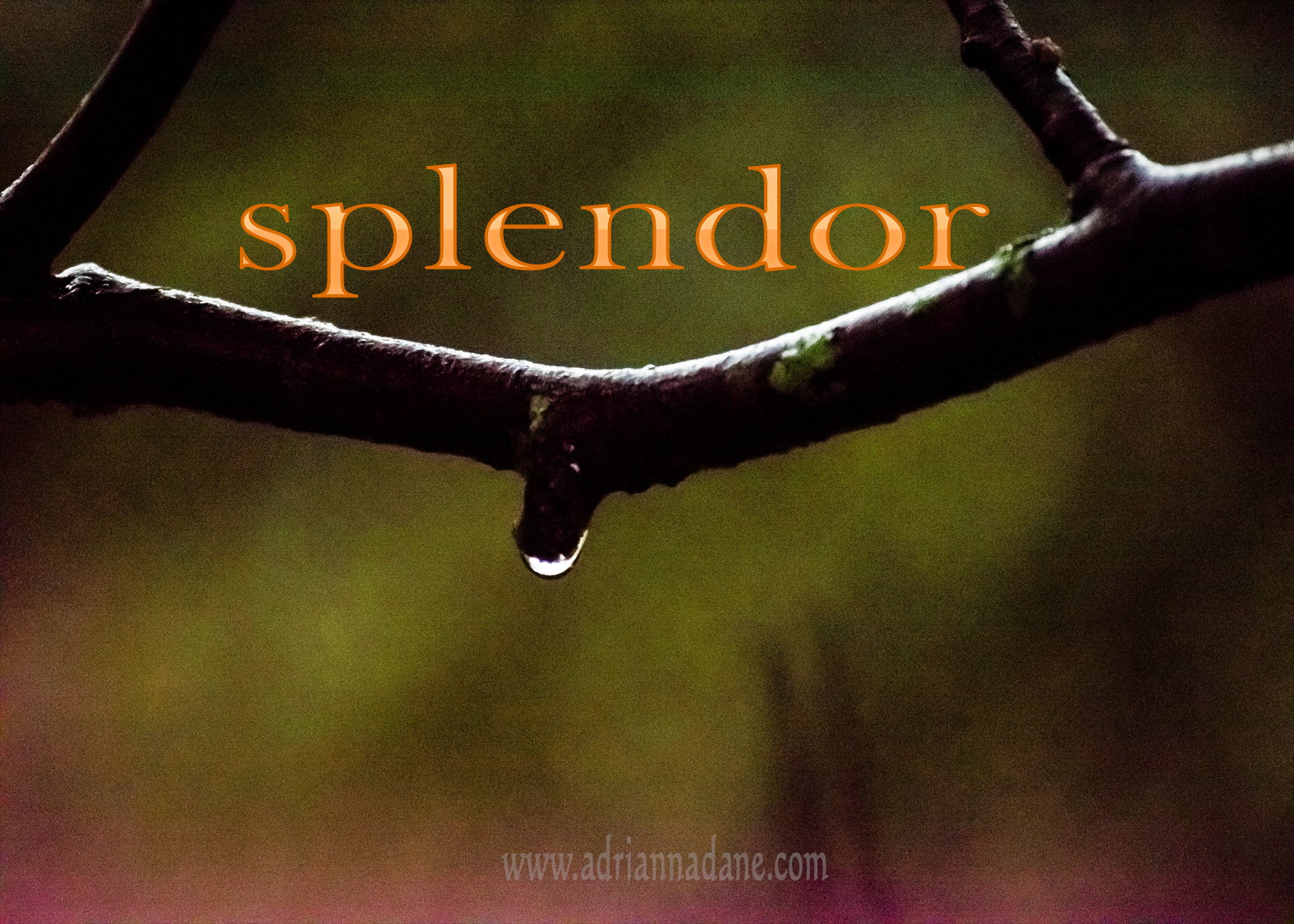 Word Drops: Splendor – Eclectic Alchemy