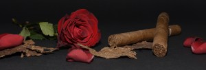 rose-1473695_cigar_pixabay