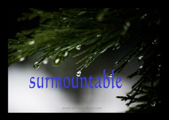 surmountable_19
